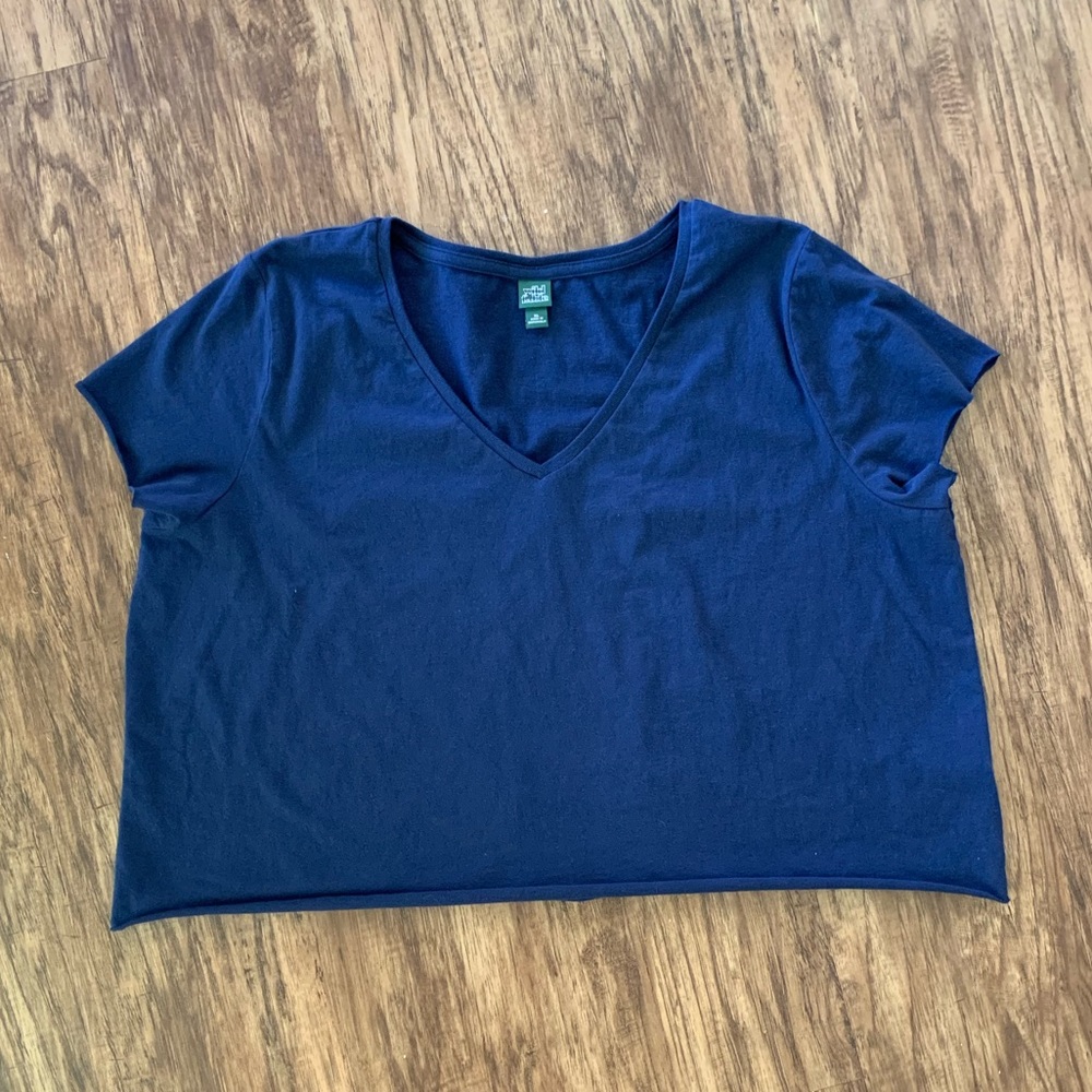 Wild Fable crop top